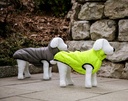 Hunde - Steppmantel Charmonix
